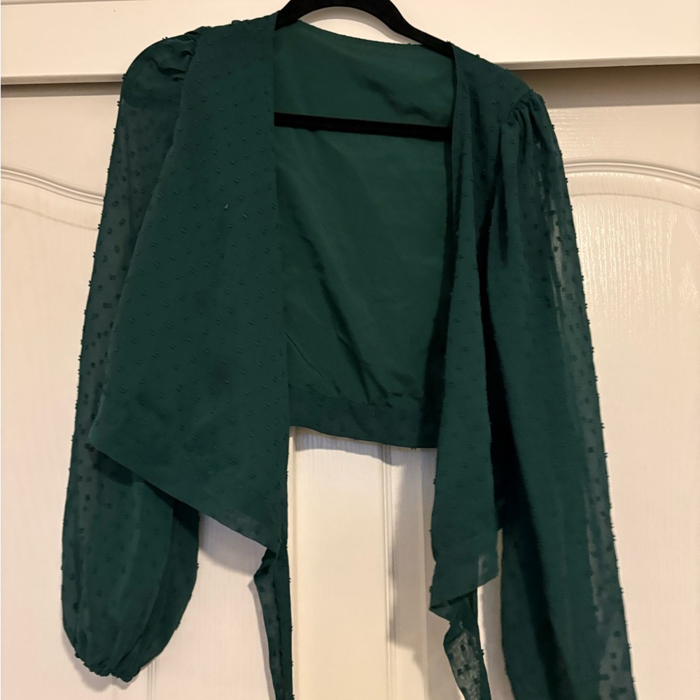 Emerald Sheer Long Sleeve Cardigan